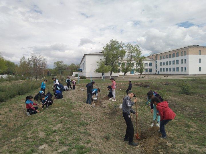 Менің атаулы ағашым